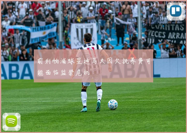 前利物浦球星迪乌夫因欠抚养费可能面临监禁危机