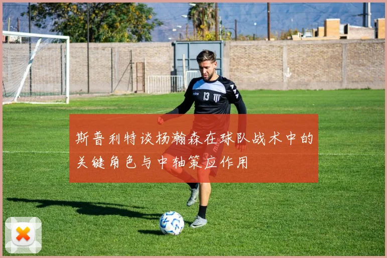 斯普利特谈杨瀚森在球队战术中的关键角色与中轴策应作用